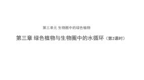 初中生物人教版 (新课标)七年级上册第三单元 生物圈中的绿色植物第三章 绿色植物与生物圈的水循环课文ppt课件