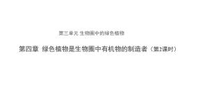 初中生物人教版 (新课标)七年级上册第四章 绿色植物是生物圈中有机物的制造者课文课件ppt
