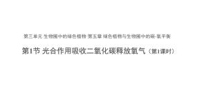 人教版 (新课标)七年级上册第一节 光合作用吸收二氧化碳释放氧气课前预习ppt课件
