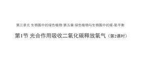 人教版 (新课标)第一节 光合作用吸收二氧化碳释放氧气备课课件ppt