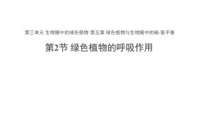 生物七年级上册第二节 绿色植物的呼吸作用教案配套ppt课件