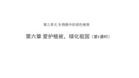 初中生物人教版 (新课标)七年级上册第六章 爱护植被，绿化祖国课文课件ppt