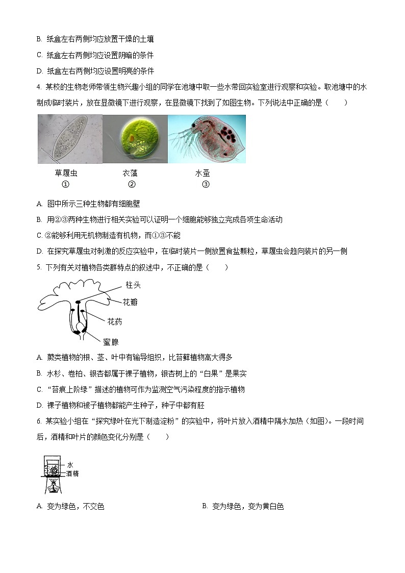 2024年山东省枣庄市山亭区翼云中学初中学业水平模拟考试生物试题(原卷版)第2页