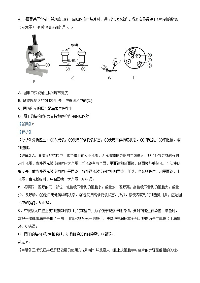 山东省临沂市临沭县第三初级中学2023-2024学年八年级下学期第一次月考生物试题(解析版)第3页