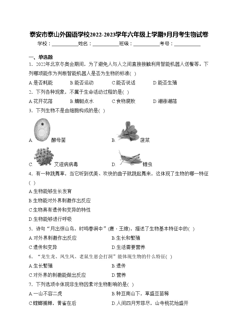 泰安市泰山外国语学校2022-2023学年六年级上学期9月月考生物试卷(含答案)