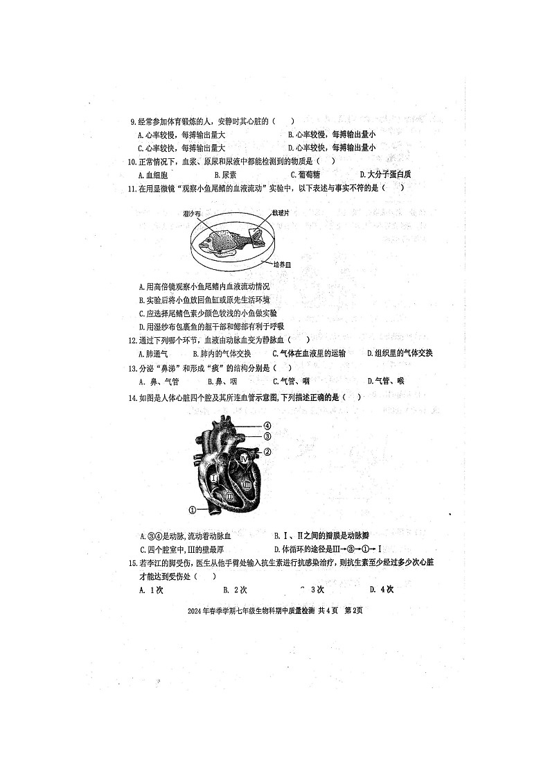 2024年春广西防城港市防城区七年级生物科下册期中质量检测题(扫描版含答案)第2页