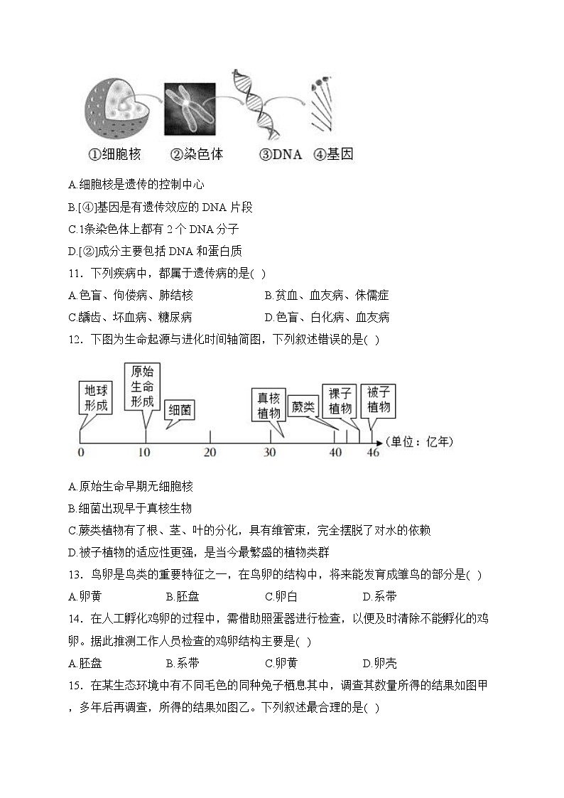 广西南宁市武鸣区2023-2024学年八年级下学期期中考试生物试卷(含答案)第3页