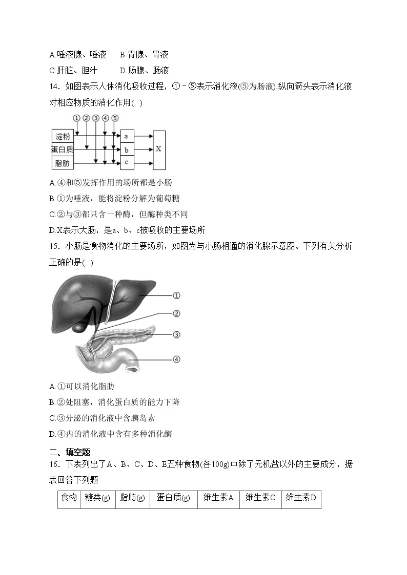 浦北县第三中学2022-2023学年七年级下学期3月月考生物试卷(含答案)03