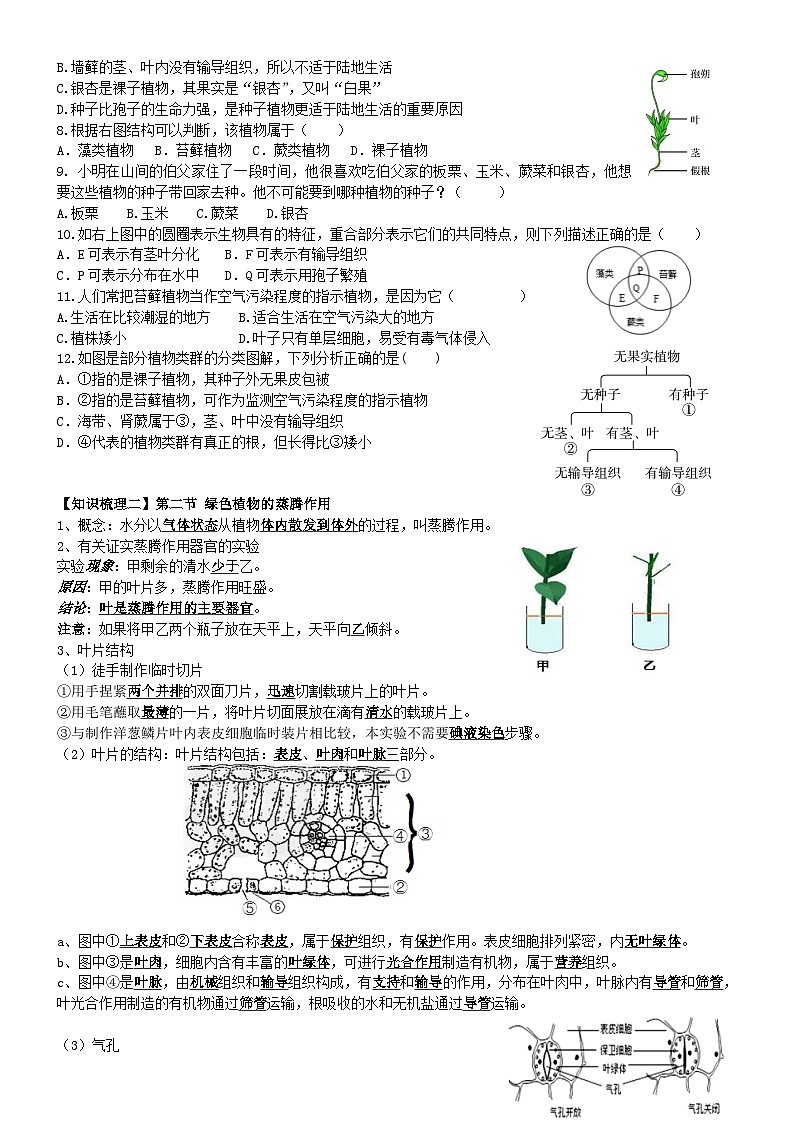 2024年中考一轮复习--生物圈中的绿色植物(第一课时)复习学案第2页