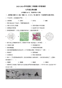 江蘇省徐州市豐縣2023-2024學(xué)年七年級(jí)下學(xué)期期中生物試題（原卷版+解析版）