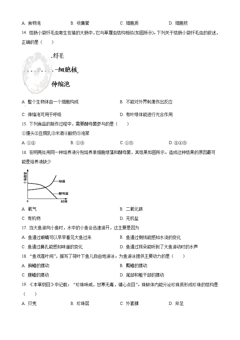 江苏省徐州市丰县2023-2024学年七年级下学期期中生物试题(原卷版)第3页