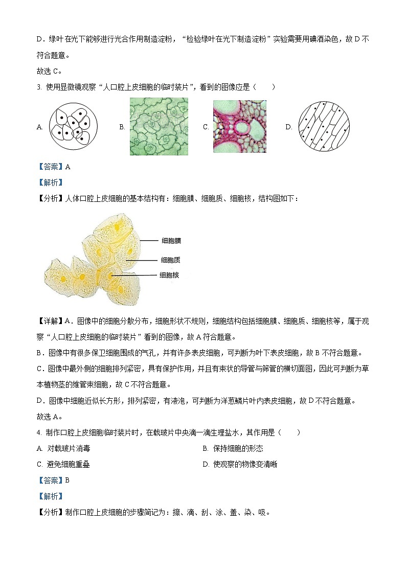 江苏省徐州市丰县2023-2024学年七年级下学期期中生物试题(解析版)第2页