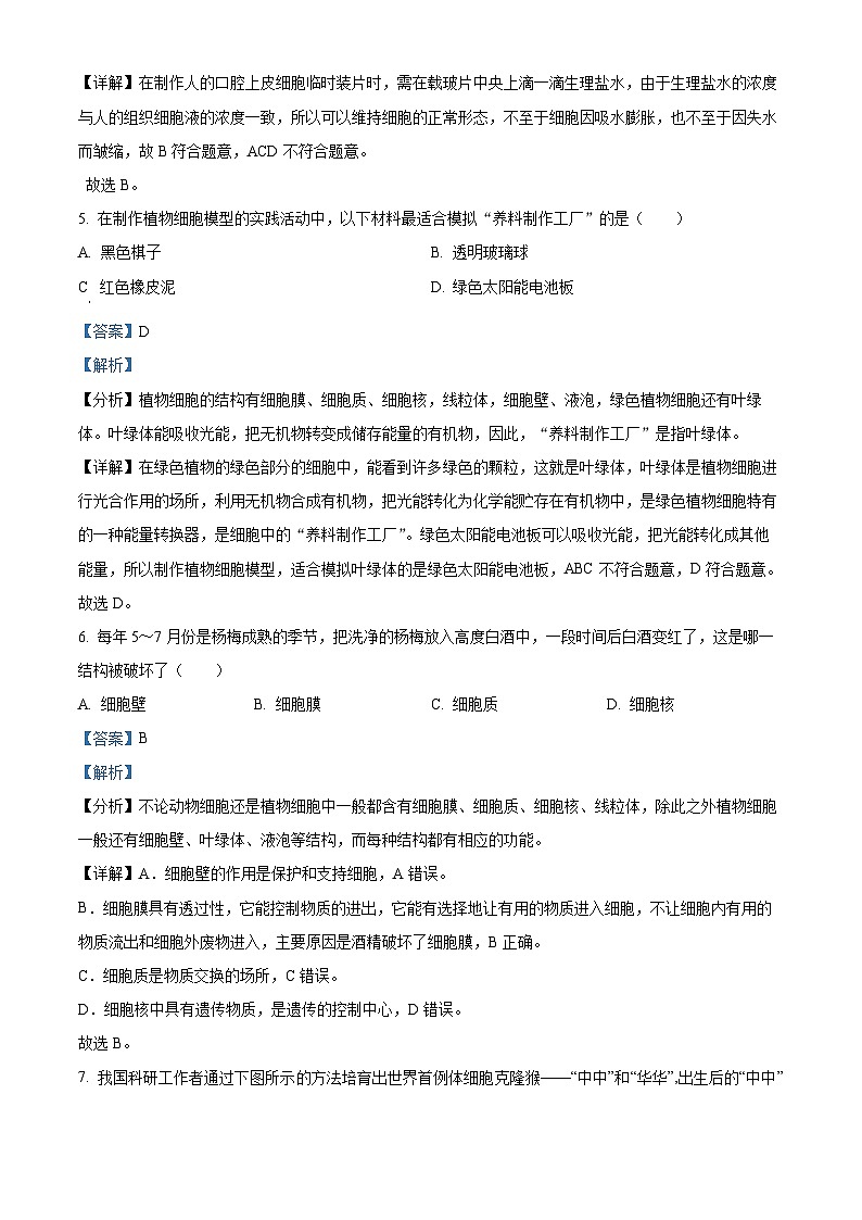 江苏省徐州市丰县2023-2024学年七年级下学期期中生物试题(解析版)第3页
