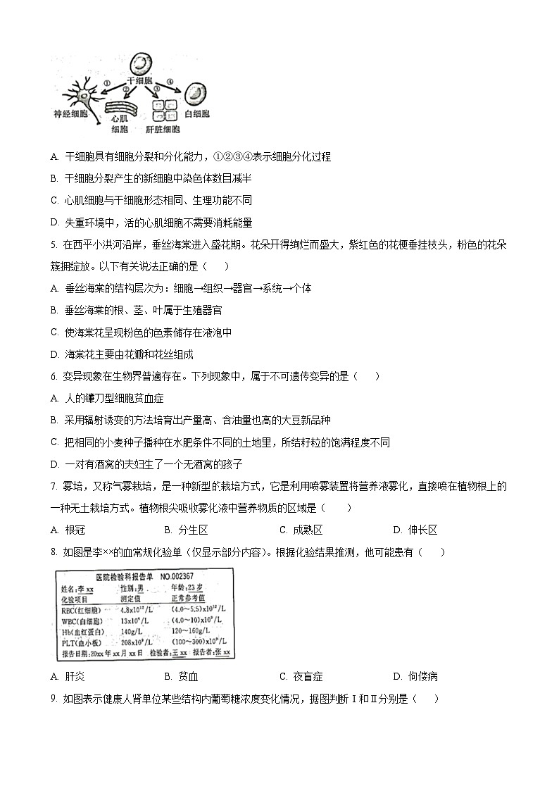 河南省駐馬店市平輿縣2023-2024學年八年級下學期期中生物試題（原卷版）第2頁