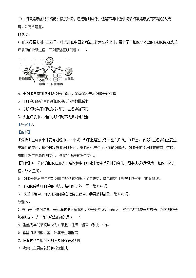 河南省駐馬店市平輿縣2023-2024學年八年級下學期期中生物試題（解析版）第3頁