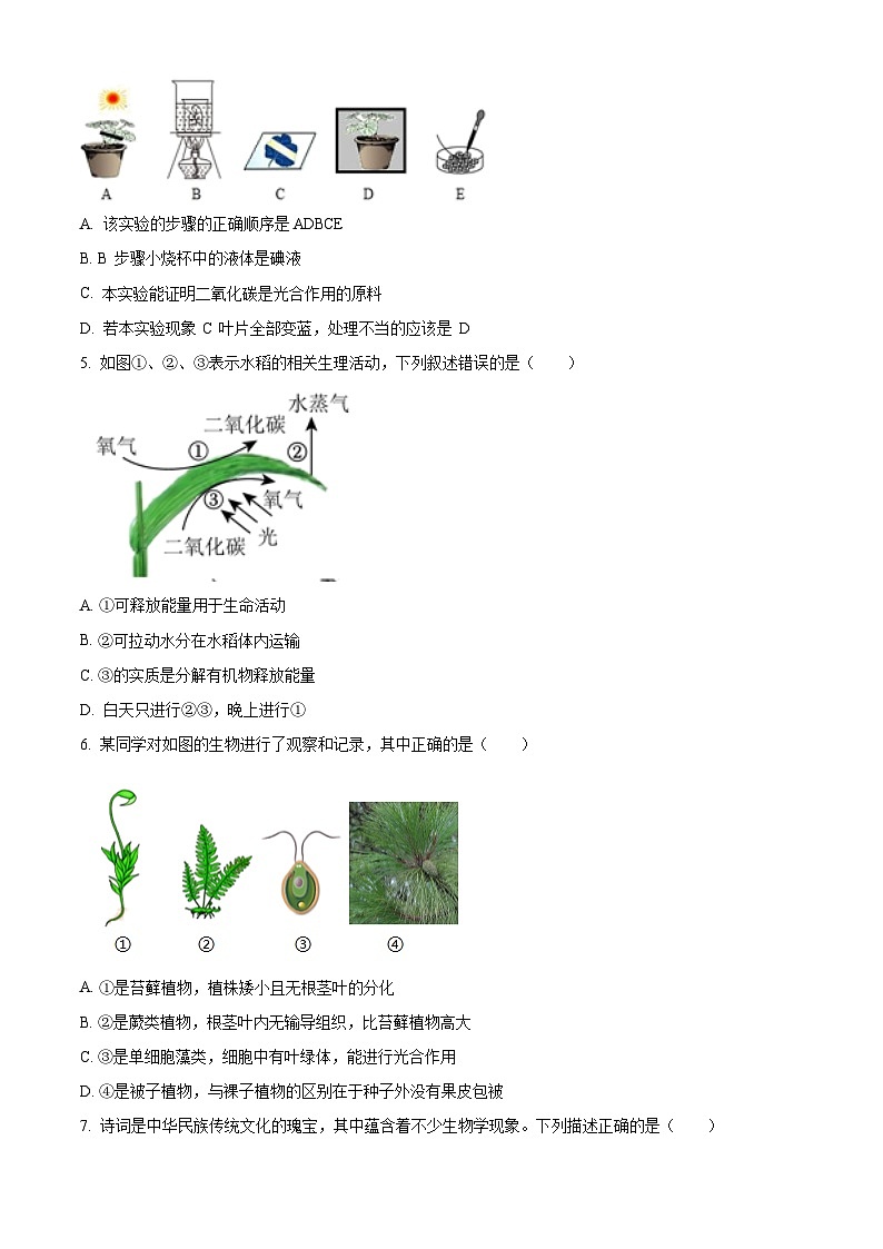 2024年山东省德州市庆云县八年级中考一模生物试题(原卷版+解析版)02