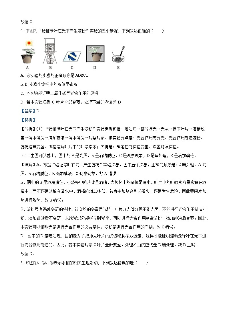 2024年山东省德州市庆云县八年级中考一模生物试题(原卷版+解析版)03