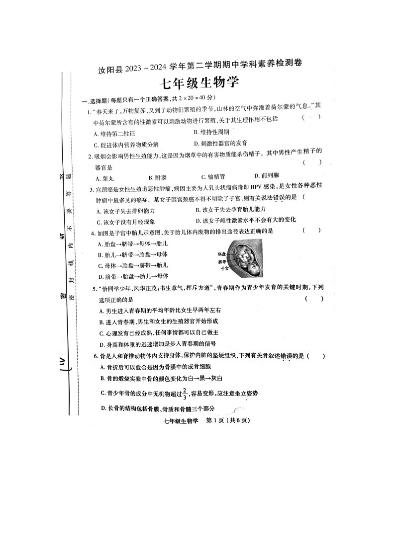 河南省洛阳市汝阳县2023-2024学年七年级下学期4月期中生物试题第1页
