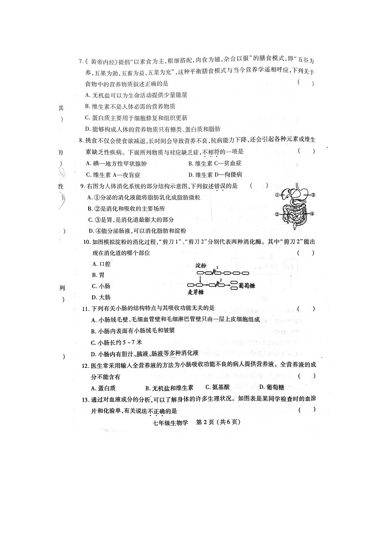 河南省洛阳市汝阳县2023-2024学年七年级下学期4月期中生物试题第2页
