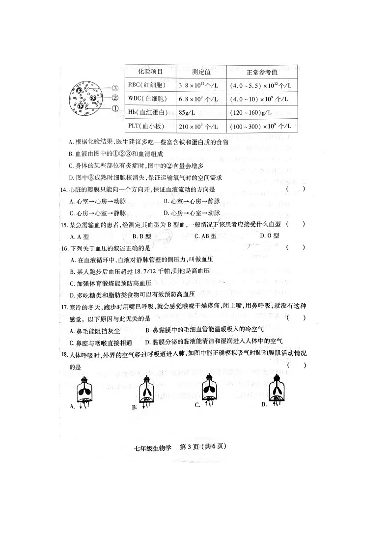 河南省洛阳市汝阳县2023-2024学年七年级下学期4月期中生物试题第3页
