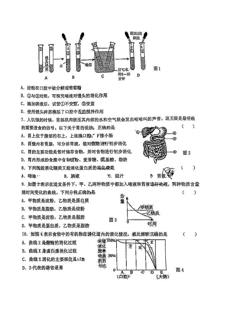 河北省石家庄市外国语学校教育集团2023-2024学年七年级下学期期中考试生物试卷第2页