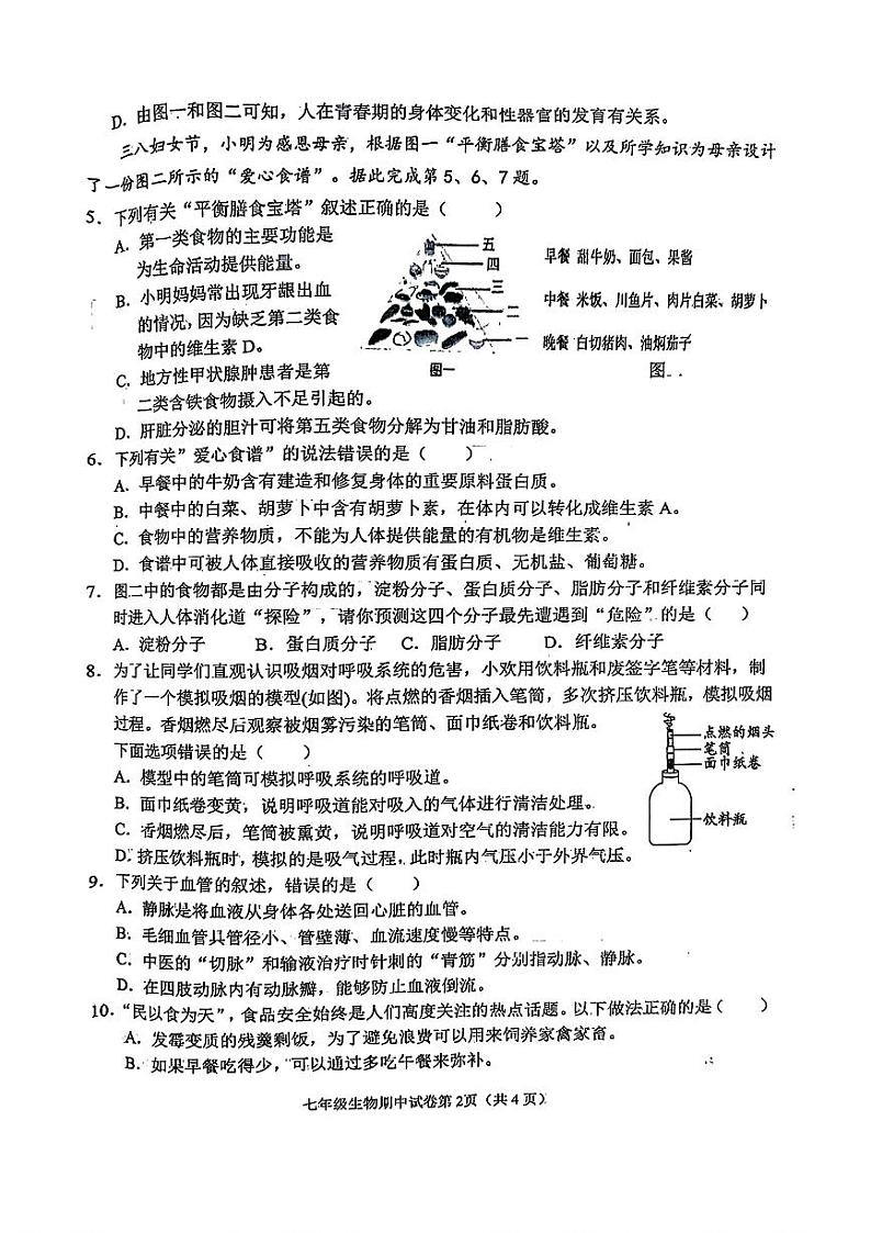 湖北省黄岗市蕲春县2023-2024学年七年级下学期期中教学质量检测生物试题第2页