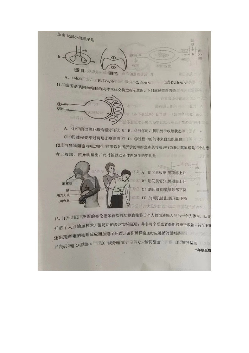 山东省德州市陵城区2023-2024学年七年级下学期期中考试生物试题(图片版无答案)第3页