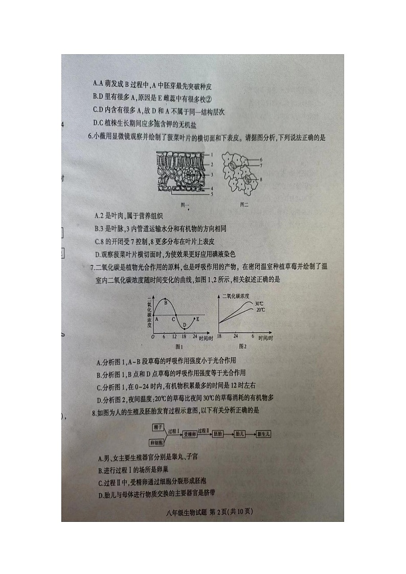 2024年山东省临沂市费县初中学业水平第一次模拟考试生物试题(图片版无答案)第2页