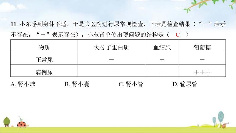 2024年广东省初中学业水平考试生物学仿真试卷(一)课件第7页