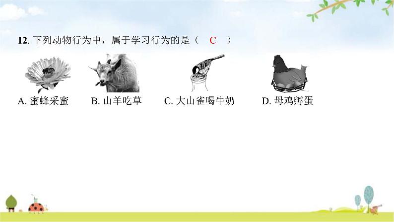 2024年广东省初中学业水平考试生物学仿真试卷(一)课件第8页