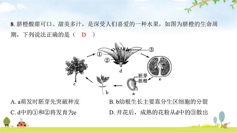 2024年广东省初中学业水平考试生物学仿真试卷(二)课件06