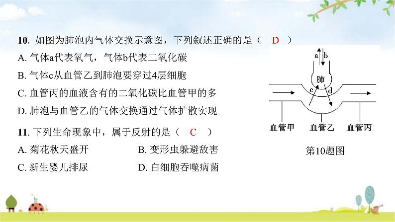 2024年广东省初中学业水平考试生物学仿真试卷(三)课件08