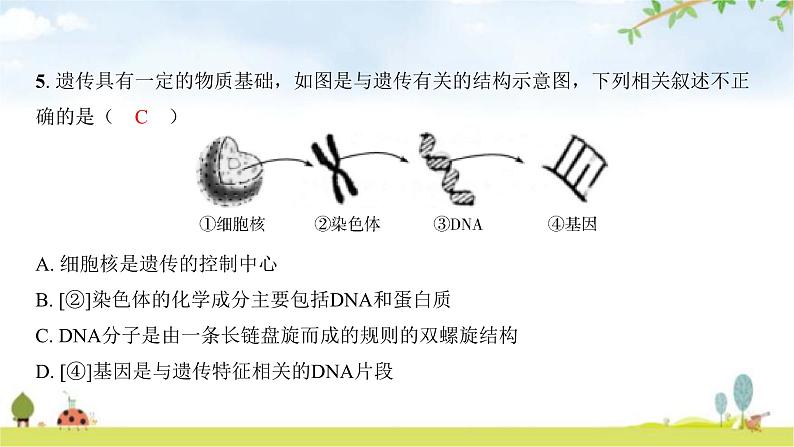 2024年广东省初中学业水平考试生物学仿真试卷(五)课件04