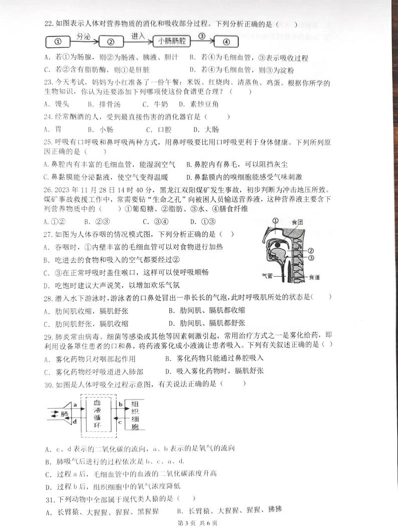 海南省省直辖县级行政单位澄迈县2023-2024学年七年级下学期4月期中生物试题第3页