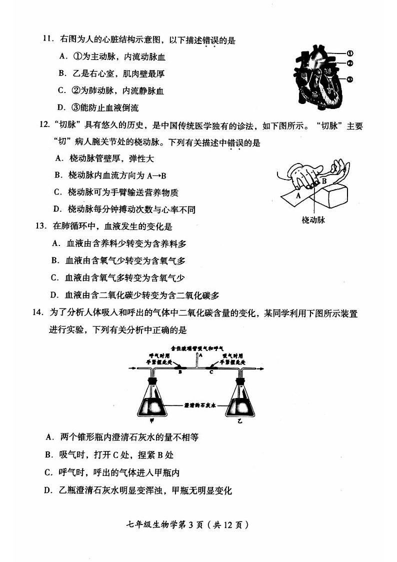 北京市房山区2023-2024学年七年级下学期期中考试生物试卷03