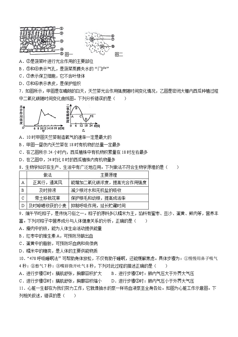 2024年湖南省邵阳市邵东市初中学业水平考试模拟生物试题02