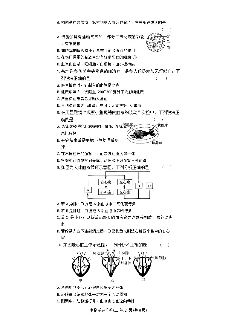 河南省安阳市林州市2023-2024学年七年级下学期4月期中生物试题02