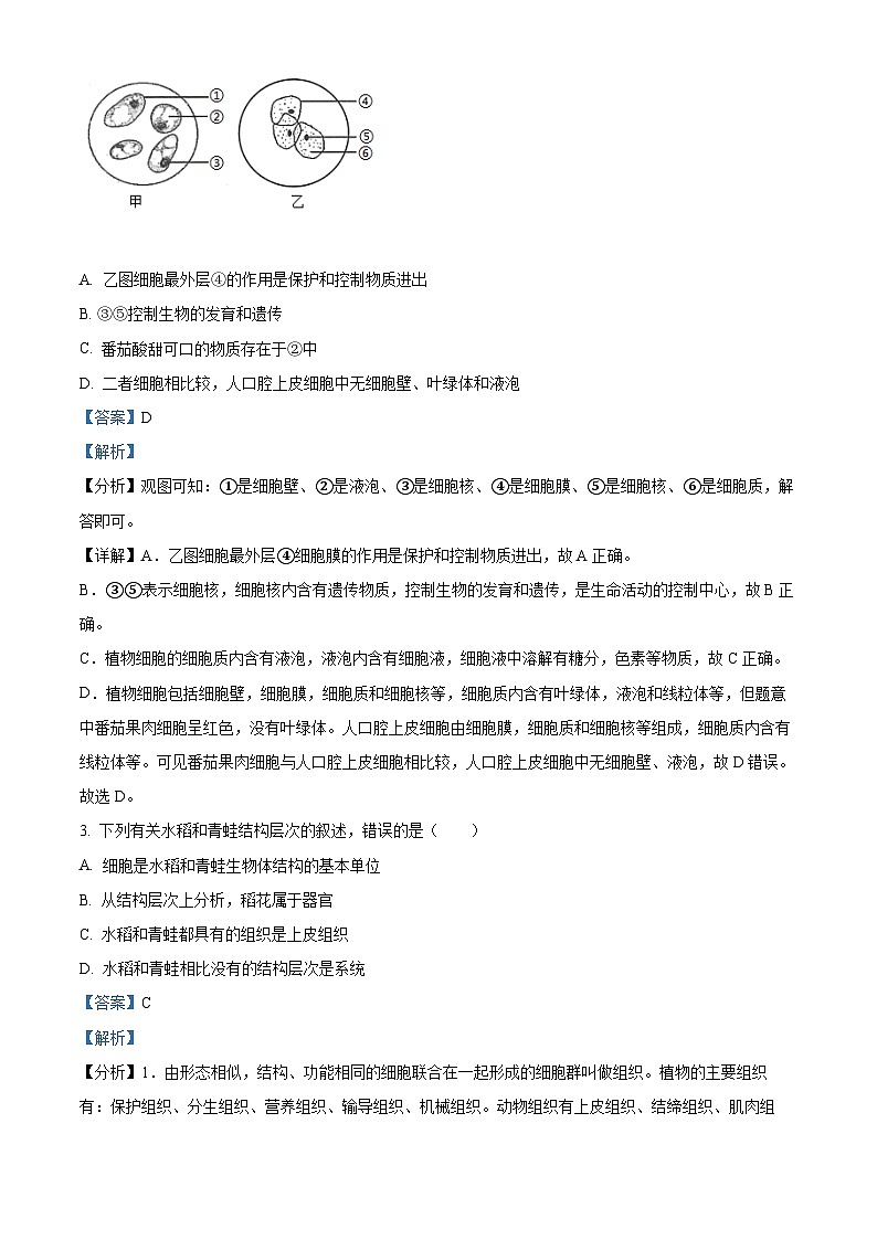 2024年山东省滨州市沾化区八年级生物中考一模试题(解析版)第2页