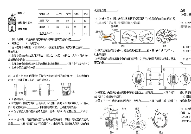 湖南省怀化市溆浦县第一中学2023-2024学年七年级下学期4月期中生物试题第3页