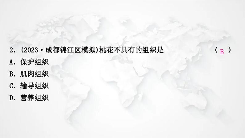 北师大版中考生物复习七年级上册第2单元生物体的结构第4章生物体的结构层次课件第3页