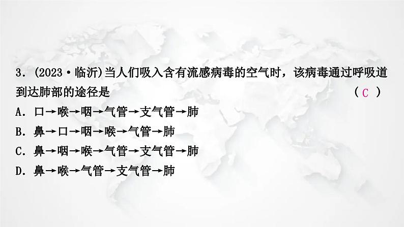 北师大版中考生物复习七年级下册第4单元生物圈中的人10章人体的能量供应课件第5页