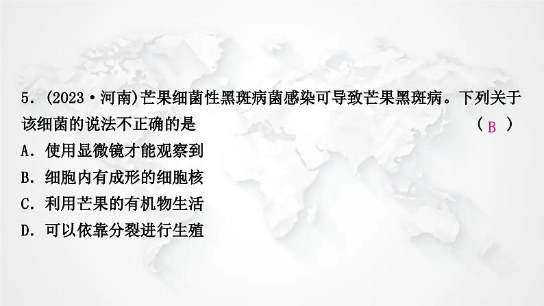 北师大版中考生物复习八年级上册第5单元第17章生物圈中的动物第18章生物圈中的微生物课件第6页