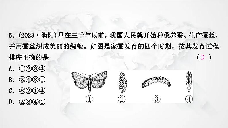 北师大版中考生物复习八年级上册第6单元生命的延续第19章生物的生殖和发育课件06