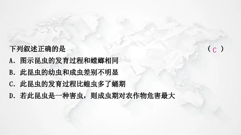 北师大版中考生物复习八年级上册第6单元生命的延续第19章生物的生殖和发育课件08