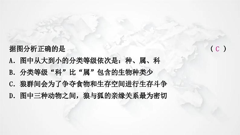 北师大版中考生物复习八年级下册第7单元生命的演化复习第22章物种的多样性课件04