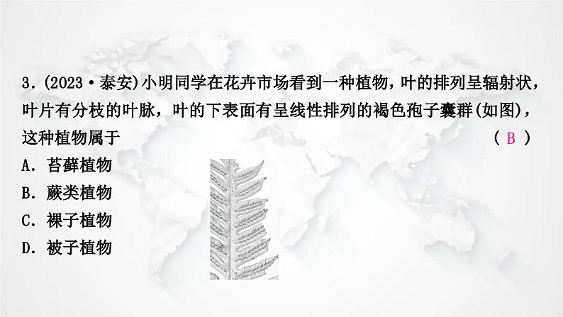 北师大版中考生物复习八年级下册第7单元生命的演化复习第22章物种的多样性课件05