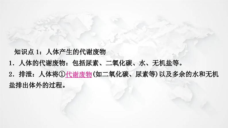 北师大版中考生物复习七年级下册第4单元生物圈中的人第11章人体代谢废物的排出课件02