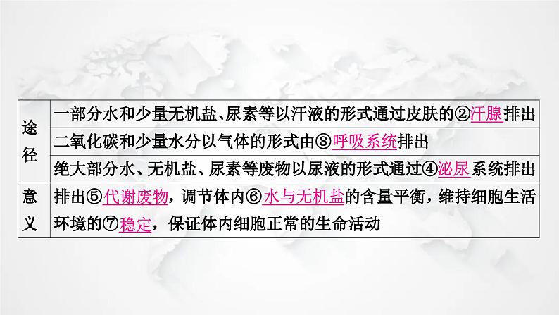 北师大版中考生物复习七年级下册第4单元生物圈中的人第11章人体代谢废物的排出课件03
