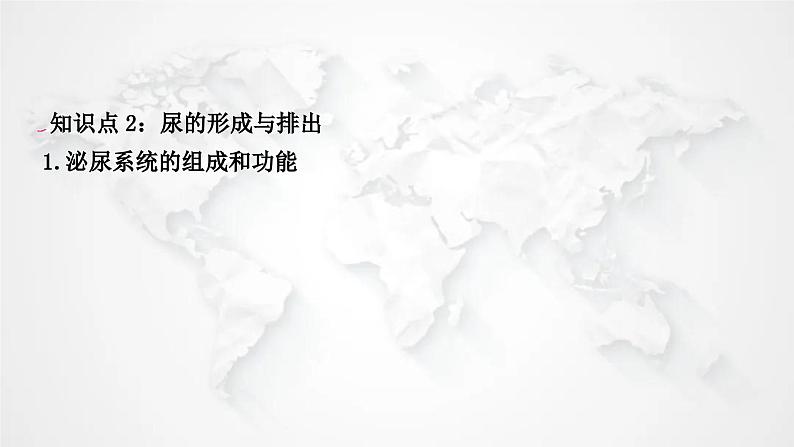 北师大版中考生物复习七年级下册第4单元生物圈中的人第11章人体代谢废物的排出课件04