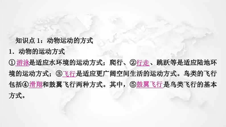 北师大版中考生物复习八年级上册第5单元生物圈中的动物和微生物第15章动物的运动课件第2页